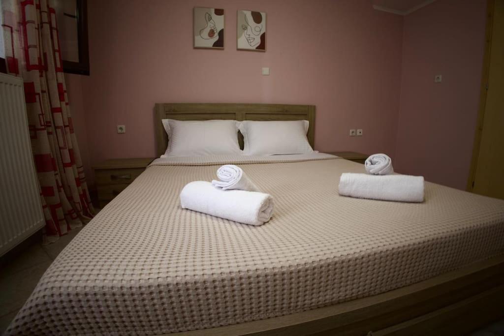 Mountain Harmony Home Konitsa Extérieur photo